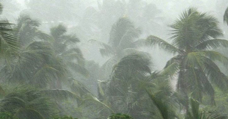 Rain-Kerala