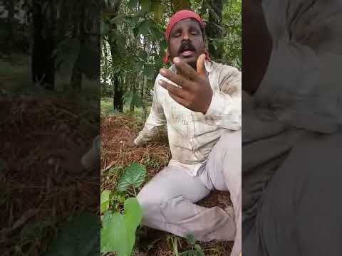 ഉണ്ണി നൂറനാടാണ്  ഇപ്പോൾ  പാട്ടിലെ   താരം
