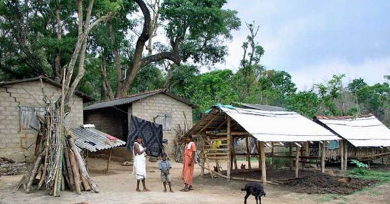 പ്രളയദുരിതത്തിലായ ചോലനായ്ക്കര്‍ വിഭാഗത്തെ കയ്യൊഴിഞ്ഞ് അധികൃതര്‍