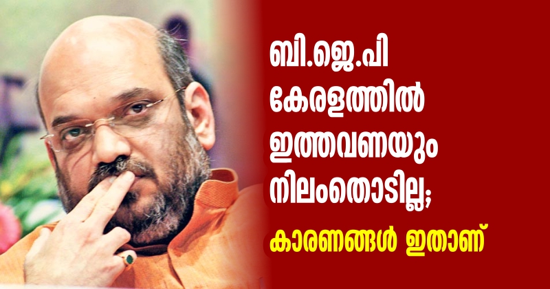 ബി.ജെ.പി കേരളത്തില്‍ ഇത്തവണയും നിലംതൊടില്ല: ശബരിമലയും ഹര്‍ത്താലും ദോഷമായി ഭവിച്ചു; പാര്‍ട്ടിയുടേത് സവര്‍ണ്ണ വിശ്വാസ സംരക്ഷണമെന്ന് ആക്ഷേപം