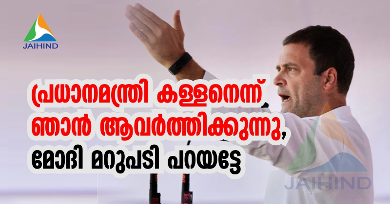റഫേല്‍: ഇന്ത്യന്‍ പ്രധാനമന്ത്രി കള്ളനെന്ന് ഞാന്‍ ആവര്‍ത്തിക്കുന്നു, മോദി മറുപടി പറയട്ടേന്ന് രാഹുല്‍ഗാന്ധി