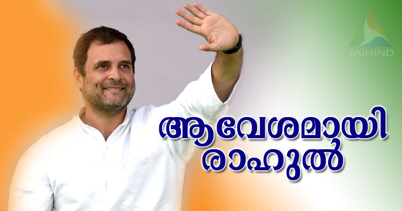 ആവേശമായി രാഹുല്‍; വിമാനത്താവളത്തില്‍ വന്‍ വരവേല്‍പ്പ്