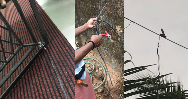 കോണ്‍ഗ്രസ് പ്രവര്‍ത്തകന്റെ വീടിന്റെ ഗ്രില്ലിലേക്ക് വൈദ്യുതി കടത്തിവിട്ട് അപായപ്പെടുത്താന്‍ ശ്രമം