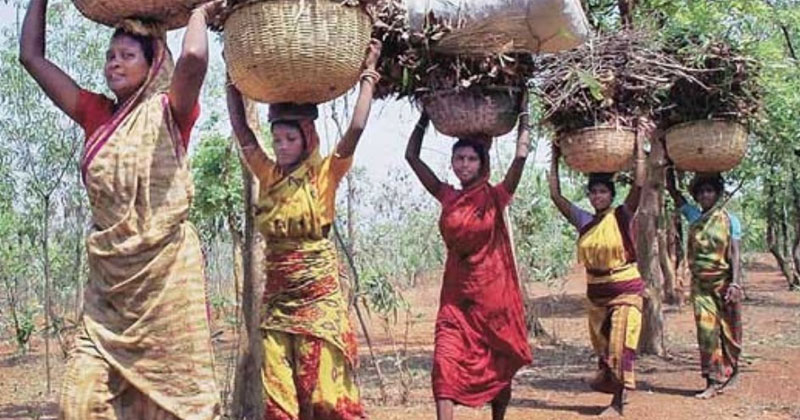 ആദിവാസികളെ ഒഴിപ്പിക്കണമെന്ന ഉത്തരവിനെതിരെ കോണ്‍ഗ്രസ് ഭരിക്കുന്ന സംസ്ഥാനങ്ങള്‍ കോടതിയിലേക്ക്