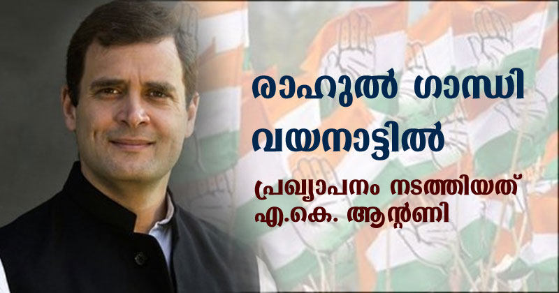 രാഹുൽ ഗാന്ധി വയനാട്ടിൽ; പ്രഖ്യാപനം നടത്തിയത് എ.കെ.ആന്‍റണി
