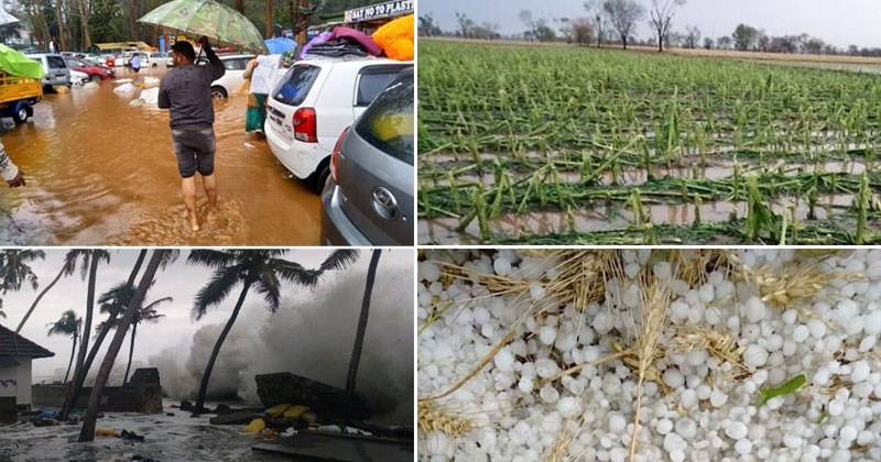 സംസ്ഥാനത്ത് കനത്ത മഴയ്ക്ക് സാധ്യത; മലപ്പുറത്ത് മരം വീണ് മൂന്ന് മരണം; നാല് ജില്ലകളില്‍ യെല്ലോ അലര്‍ട്ട്