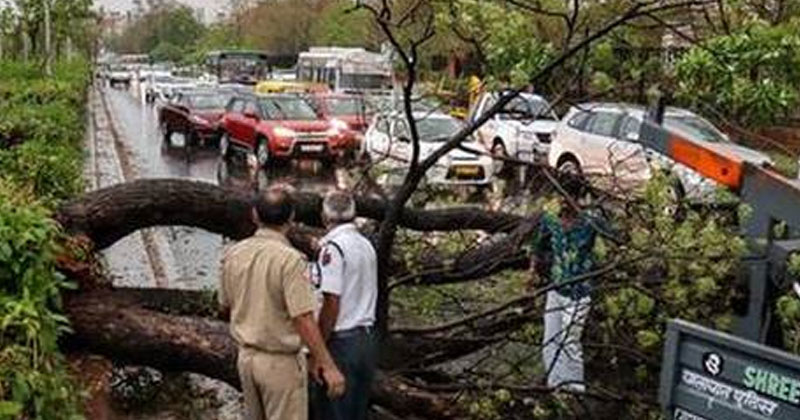 കനത്ത മഴയില്‍ വ്യാപക നാശനഷ്ടം; 35 മരണം; രാജസ്ഥാനെയും മധ്യപ്രദേശിനെയും അവഗണിച്ച് ഗുജറാത്തിന് മാത്രം സഹായം പ്രഖ്യാപിച്ച് പ്രധാനമന്ത്രി