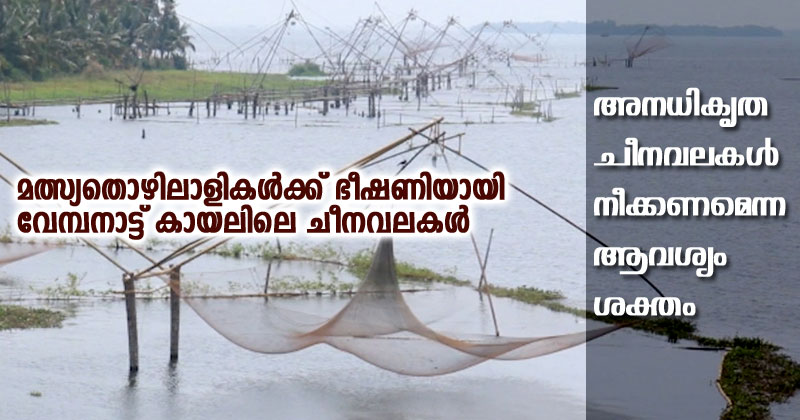 വൈക്കത്ത് വേമ്പനാട്ടു കായലിലെ അനധികൃത ചീനവലകള്‍ നീക്കണമെന്ന ആവശ്യം ശക്തം