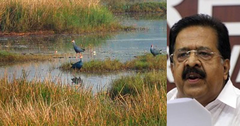 കളക്ടറുടെ ഉത്തരവ് അസാധുവാക്കി കുന്നത്തുനാട്ടിലെ  വയല്‍ നികത്താന്‍ റവന്യൂ വകുപ്പ് നല്‍കിയ അനുമതി റദ്ദാക്കണം: രമേശ് ചെന്നിത്തല