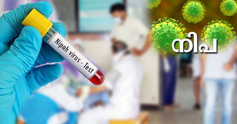 നിപ തന്നെ... പൂനെയില്‍ നിന്നും സ്ഥിരീകരണം എത്തി