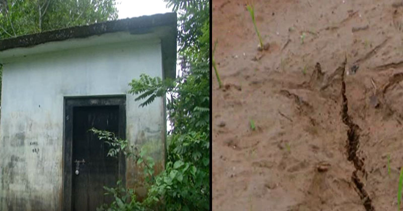 മഴക്കാലത്തും നെൽകൃഷി വരണ്ടുണങ്ങുന്നു; പനമരത്ത് കർഷകർ പ്രതിസന്ധിയിൽ
