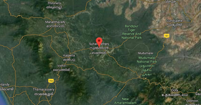 വയനാട്ടില്‍ വീണ്ടും സ്കൂളില്‍ വെച്ച് വിദ്യാർത്ഥിക്ക്പാമ്പ് കടിയേറ്റു
