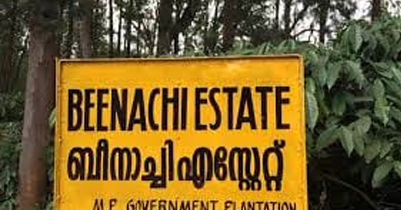 മധ്യപ്രദേശ് സർക്കാറിന്‍റെ ഉടമസ്ഥതയിലുള്ള വയനാട്ടിലെ ഭൂമി :  രാഹുൽ ഗാന്ധിയുടെ പ്രഖ്യാപനത്തെ ഇരുകയ്യും നീട്ടി സ്വീകരിച്ച് വയനാടന്‍ ജനത,  പ്രതികരിക്കാതെ സർക്കാർ