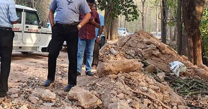 കുളത്തൂപ്പുഴ വന മേഖലയിൽ ഉപേക്ഷിക്കപ്പെട്ട നിലയിൽ 14 വെടിയുണ്ടകൾ കണ്ടെത്തി