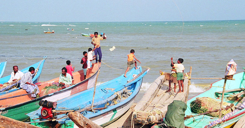 സംസ്ഥാനത്തു കടൽ മത്സ്യങ്ങളുടെ ലഭ്യതയില്‍ ഗണ്യമായ കുറവ്