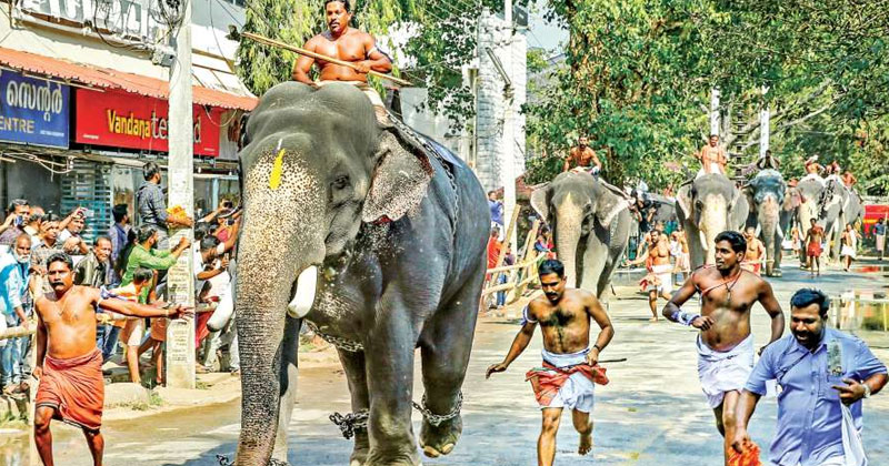 ഗുരുവായൂർ ക്ഷേത്രോത്സവത്തിന് കൊടിയേറി; ആനയോട്ടത്തിൽ ഗോപീ കണ്ണൻ ഒന്നാമന്‍