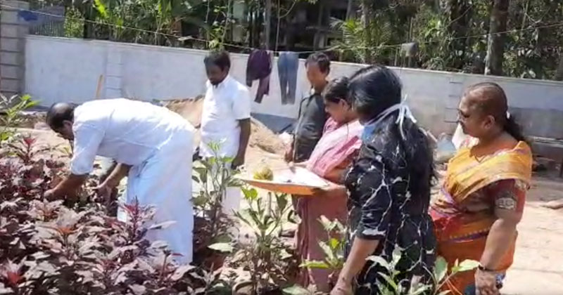 സ്വന്തം വീട്ടിന് മുറ്റത്തെ പച്ചക്കറി കൃഷിയുടെ വിളവെടുപ്പ് നടത്തി കെ.സുധാകരൻ എംപി
