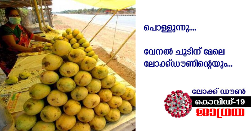 കോവിഡ് 19ഉം ലോക്ക് ഡൗണും : മലബാറിലെ പഴവർഗ വിപണി പ്രതിസന്ധിയില്‍