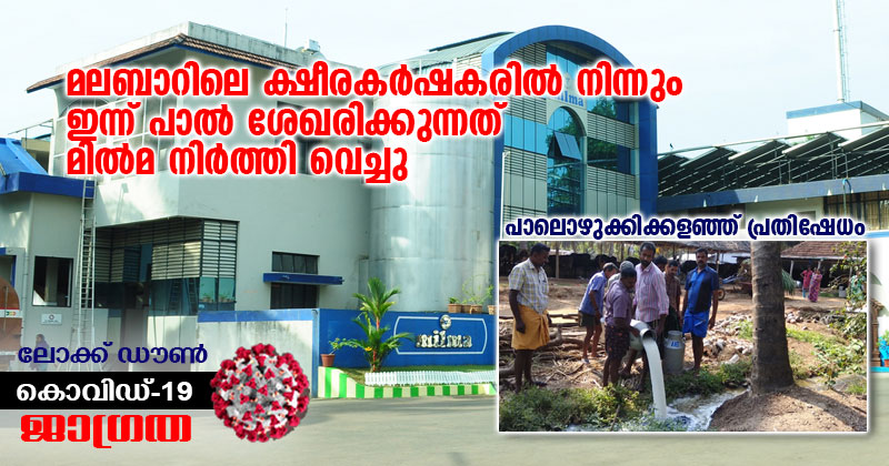 മലബാറിലെ ക്ഷീര കർഷകരിൽ നിന്നും ഇന്ന് പാൽ ശേഖരിക്കുന്നത് മിൽമ നിർത്തി വെച്ചു; പലയിടത്തും പാലൊഴുക്കിക്കളഞ്ഞ് ക്ഷീരകർഷകരുടെ പ്രതിഷേധം