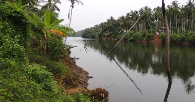 തീരദേശവാസികളെ ഭീതിയിലാഴ്ത്തി കുറ്റ്യാടിപ്പുഴ കരകയറുന്നു; തീരം കെട്ടി സംരക്ഷിക്കണമെന്ന് ആവശ്യം