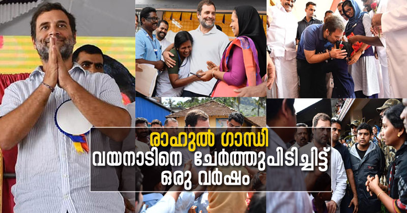 രാഹുല്‍ ഗാന്ധി  വയനാടിനെ  ചേര്‍ത്തുപിടിച്ചിട്ട്‌ ഒരു വര്‍ഷം; മണ്ഡലത്തിന് സമ്മാനിച്ചത് സ്വപ്നതുല്യമായ വികസനത്തിനൊപ്പം സ്‌നേഹവും കരുതലും