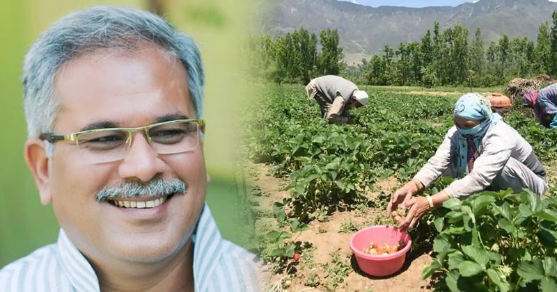 രാജീവ് ഗാന്ധിയുടെ രക്തസാക്ഷിത്വ ദിനത്തിൽ  'ന്യായ് പദ്ധതി'  നടപ്പിലാക്കി ഛത്തീസ്ഗഢ് സർക്കാർ; 19 ലക്ഷം കര്‍ഷകര്‍ക്കായി 5700 കോടി രൂപ  വകയിരുത്തി