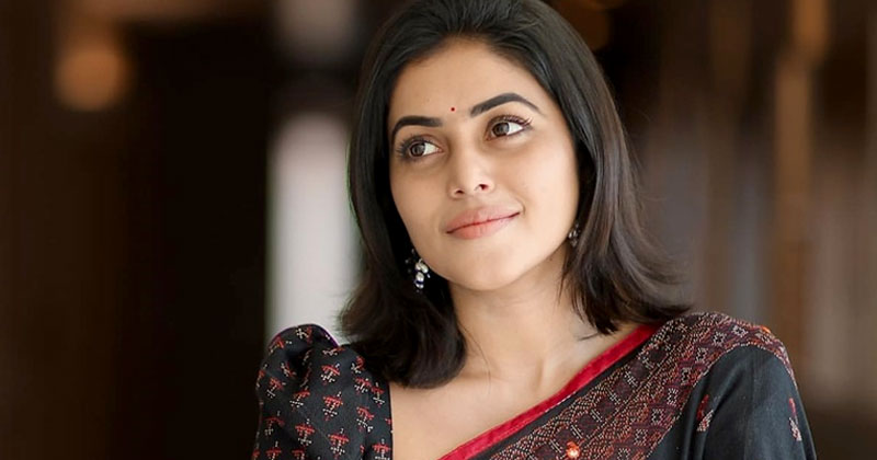 കൊച്ചി ബ്ലാക്ക്മെയില്‍ കേസ് ; ജാമ്യം ലഭിച്ച പ്രതികള്‍ വീണ്ടും പൊലീസ് കസ്റ്റഡിയില്‍
