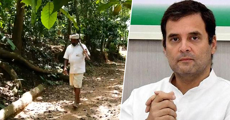 സർക്കാർ എങ്ങനെ രാജ്യത്തിന്‍റെ അന്നദാതാക്കളായ കർഷകരെ പിന്തുണക്കണം : കർഷകന്‍റെ വീഡിയോ പങ്കുവച്ച് രാഹുല്‍ഗാന്ധി