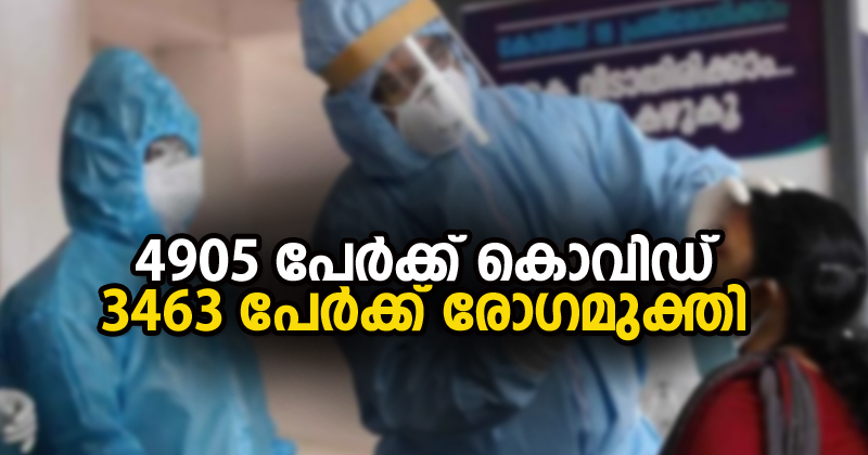 4905 പേര്‍ക്ക് കൊവിഡ് ; 3463 പേര്‍ക്ക് രോഗമുക്തി ; ടെസ്റ്റ് പോസിറ്റിവിറ്റി 10.64 %