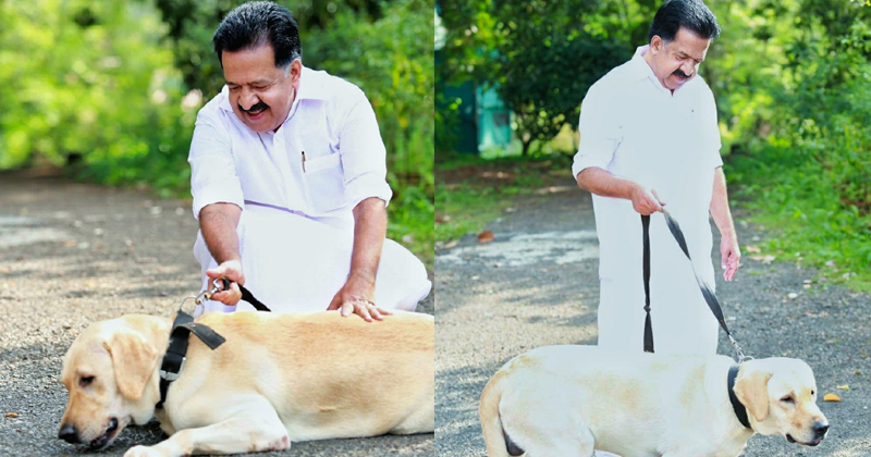 കാഴ്ചശക്തി ഇല്ലെന്നറിഞ്ഞിട്ടും ഞങ്ങള്‍ ചേർത്തുപിടിച്ച 'സ്‌കൂബി' ; വളർത്തുനായയെക്കുറിച്ചുള്ള അനുഭവം പങ്കുവെച്ച്  പ്രതിപക്ഷ നേതാവ്