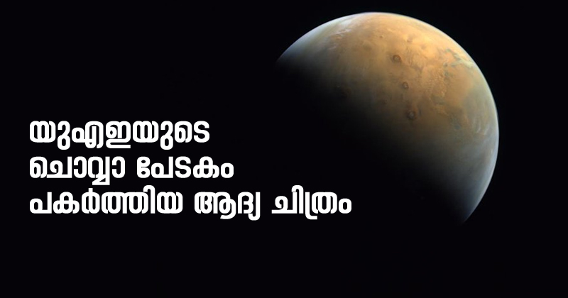 യു.എ.ഇ ചൊവ്വാ പേടകം പകര്‍ത്തിയ ആദ്യ ചിത്രം ഇതാ ; പങ്കുവെച്ച് യുഎഇ ഭരണാധികാരിമാര്‍ ; ഇനി ലക്ഷ്യം പുതിയ കണ്ടെത്തലുകള്‍
