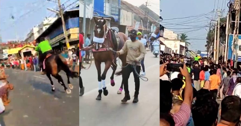 കൊവിഡിനിടയിലെ കടിഞ്ഞാണ്‍ കൈവിട്ട  കളി ; നിയന്ത്രണങ്ങള്‍ കാറ്റില്‍ പറത്തി കുതിരയോട്ട മത്സരം ; സംഭവം പാലക്കാട്