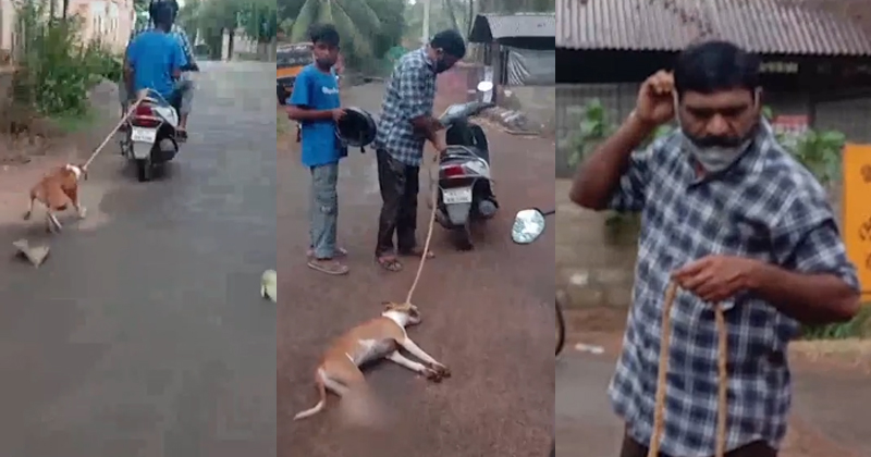 വളർത്തുനായയെ സ്കൂട്ടറില്‍ കെട്ടിവലിച്ച സംഭവം ; പ്രതിയെ അറസ്റ്റ് ചെയ്ത് പൊലീസ്