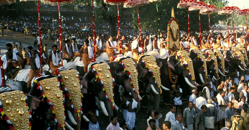 ആനകളുടെ ഫിറ്റ്‌നസ് പരിശോധിക്കാനെത്തിയ ഹൈക്കോടതി വിദഗ്ധ സംഘത്തെ ഭീഷണിപ്പെടുത്തി; പാറമേക്കാവ് ദേവസ്വത്തിനെതിരെ അമിക്കസ് ക്യൂറി റിപ്പോര്‍ട്ട്