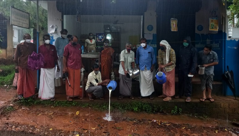 ക്ഷീരകര്‍ഷകരെ കടുത്ത ദുരിതത്തിലാക്കി മില്‍മയുടെ നടപടി ; പ്രതിഷേധം