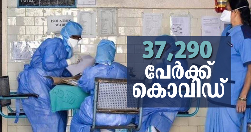 37,290 പേര്‍ക്ക് കൊവിഡ് ; 32,978 പേര്‍ക്ക് രോഗമുക്തി ; ടെസ്റ്റ് പോസിറ്റിവിറ്റി  26.77 %