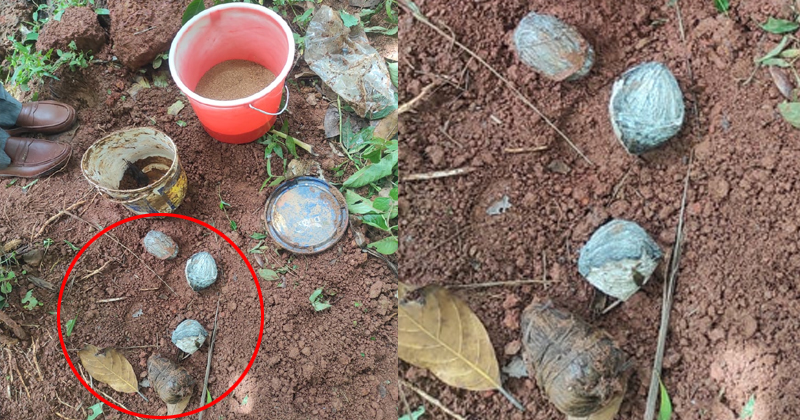 കണ്ണൂര്‍ പൊയിലൂരില്‍ നിന്ന് ബോംബുകള്‍ കണ്ടെടുത്തു ; ബോംബ് സ്ക്വാഡെത്തി നിര്‍വീര്യമാക്കി