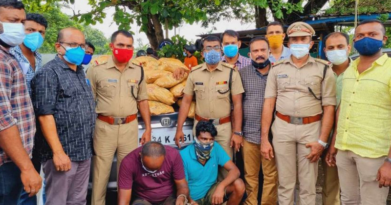 നെടുമ്പാശേരിയില്‍ കഞ്ചാവ് വേട്ട ; പിടിയിലായത് ഉത്തരേന്ത്യയിലേക്കും കഞ്ചാവ് എത്തിക്കുന്ന സംഘം