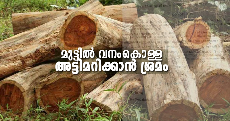മുട്ടില്‍ വനംകൊള്ള  അട്ടിമറിക്കാന്‍ ശ്രമം ; കൂട്ടുനിന്ന് മുഖ്യമന്ത്രിയുടെ അടുപ്പക്കാരനായ വാര്‍ത്താ ചാനല്‍ മേഖലാ മേധാവിയും, റിപ്പോര്‍ട്ട് പുറത്ത്