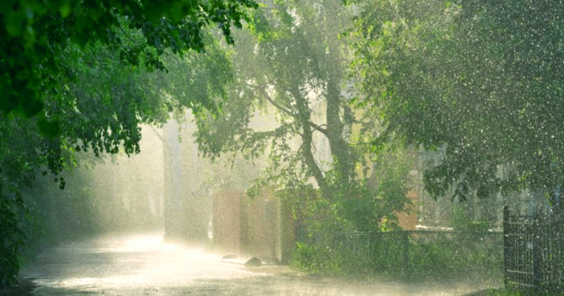 ന്യൂനമർദ്ദം: സംസ്ഥാനത്ത് മഴ കനക്കും, 11 ജില്ലകളില്‍ യെല്ലോ അലർട്ട്