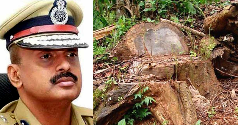 മുട്ടില്‍ മരംമുറി കേസ്; അന്വേഷണ റിപ്പോർട്ട് മടക്കി ക്രൈം ബ്രാഞ്ച് മേധാവി