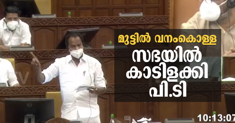 കാണാമറയത്തെ വീരപ്പന്മാര്‍ ആര് ? വനംകൊള്ളയില്‍ അന്വേഷണം ഇരുട്ടില്‍ കറുത്തപൂച്ചയെ തപ്പുന്നപോലെ ; സഭയില്‍ കാടിളക്കി പി.ടി