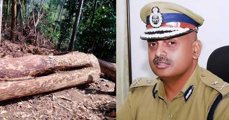 വനംകൊള്ള : ക്രൈം ബ്രാഞ്ച് അന്വേഷണ സംഘത്തിന്‍റെ യോഗം തൃശൂരില്‍