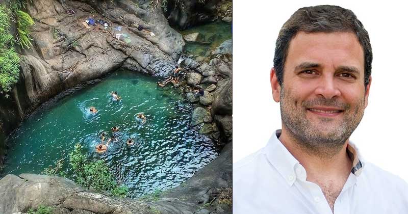 ലോക പരിസ്ഥിതി സംരക്ഷണ ദിനം : വയനാട് മണ്ഡലത്തിലെ മനോഹര ദൃശ്യങ്ങള്‍ പങ്കുവെച്ച് രാഹുല്‍ ഗാന്ധി