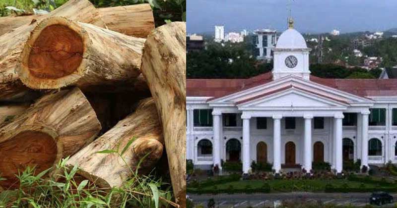 മുട്ടില്‍ വനംകൊള്ള : റവന്യൂ ഉദ്യോഗസ്ഥരുടെ മൊഴി ക്രൈംബ്രാഞ്ച് രേഖപ്പെടുത്തി