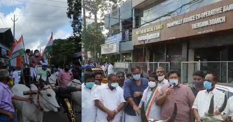 ഇന്ധനവിലവർധന : പ്രതിഷേധ കാളവണ്ടി യാത്ര നടത്തി യൂത്ത് കോണ്‍ഗ്രസ്