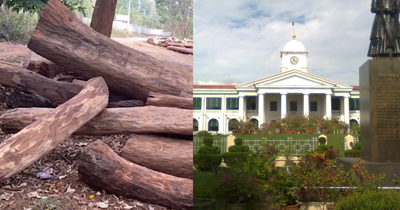 മരംമുറിയില്‍ വീണ്ടും പ്രതികാര നടപടിയുമായി സർക്കാർ ; ഉദ്യോഗസ്ഥയുടെ ഗുഡ് സർവ്വീസ് എന്‍ട്രി റദ്ദാക്കി