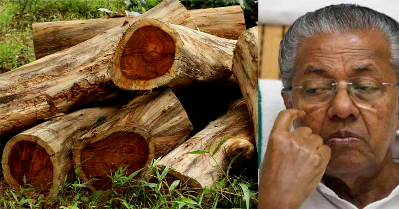 മുട്ടില്‍ മരംമുറി കേസ് അട്ടിമറിക്കാന്‍ ഗൂഢാലോചന; സാജനെതിരെ നടപടി വേണമെന്ന് ശുപാർശ, കണ്ണടച്ച് മുഖ്യമന്ത്രിയുടെ ഓഫീസ്