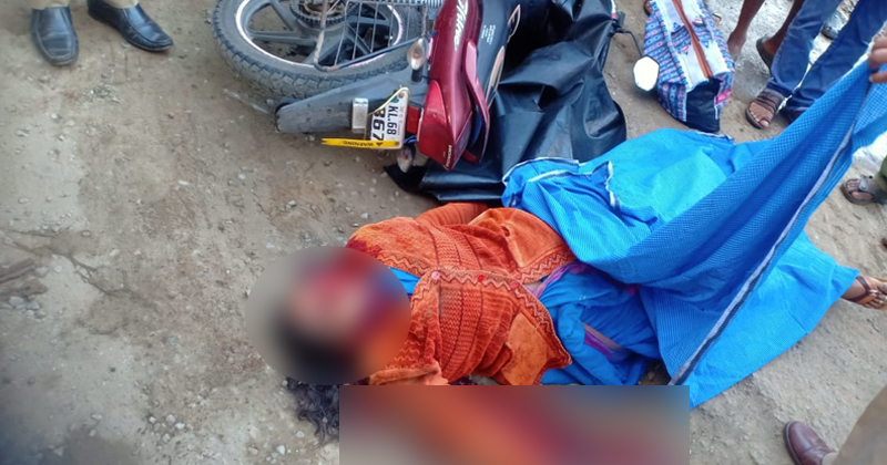 ഇടുക്കിയില്‍ കാട്ടാന ആക്രമണം; ബൈക്ക് യാത്രികയ്ക്ക് ദാരുണാന്ത്യം