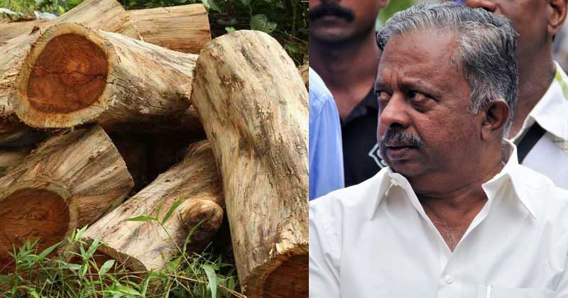 മുന്‍ വനം മന്ത്രിയുടെ സ്വന്തം മണ്ഡലത്തിലും മരം മുറിച്ചുകടത്തി; തെളിവുകള്‍ വിജിലന്‍സിന്